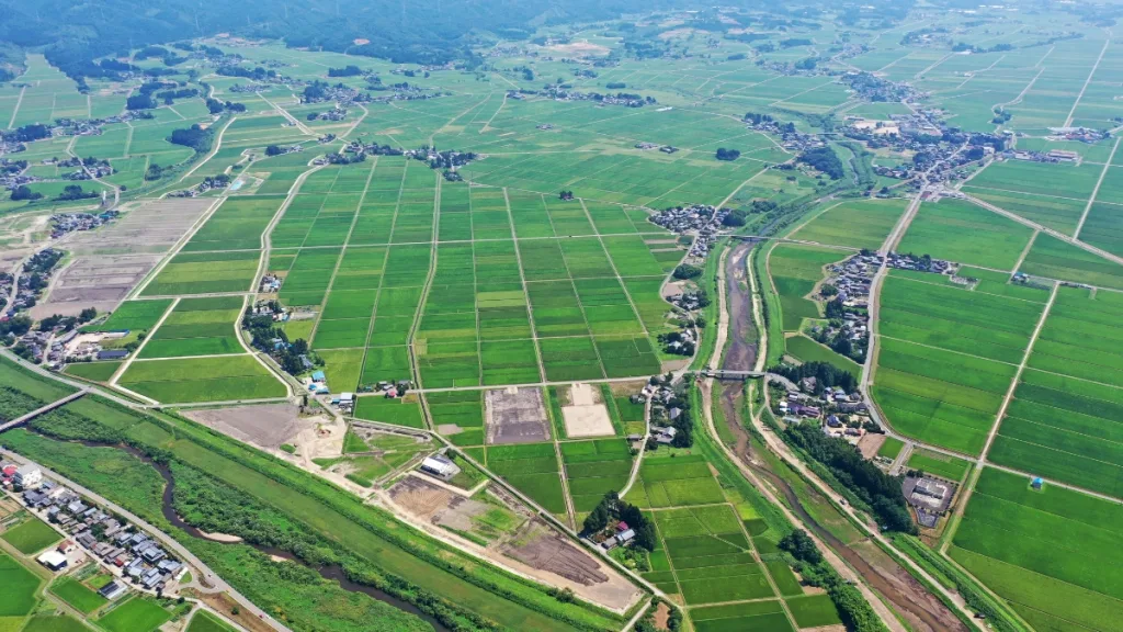 新潟県の景色：緑豊かな田畑