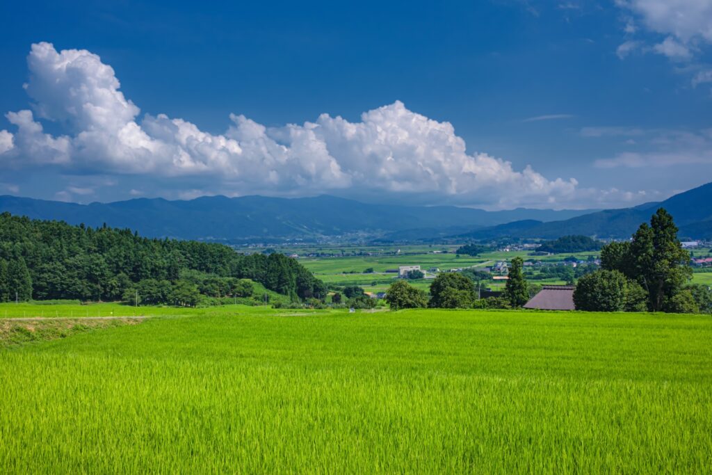 長野県木島平の景色