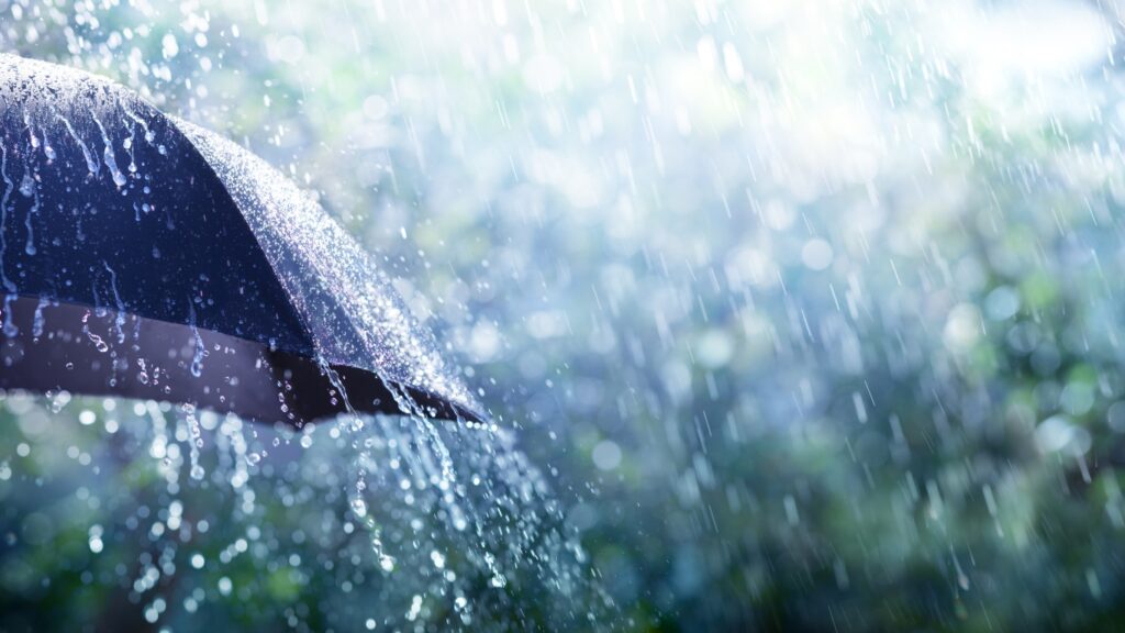 雨と傘