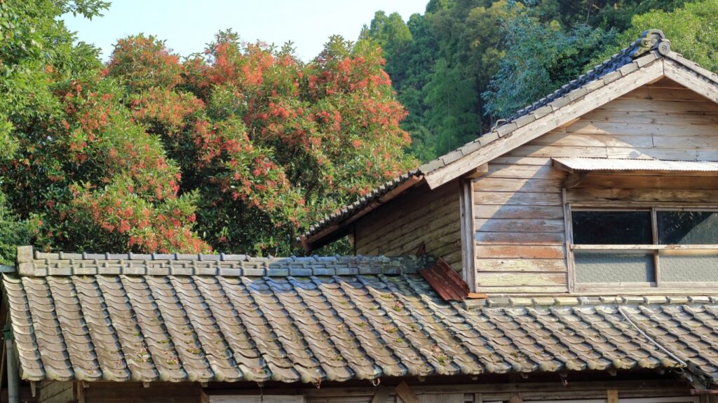 空き家