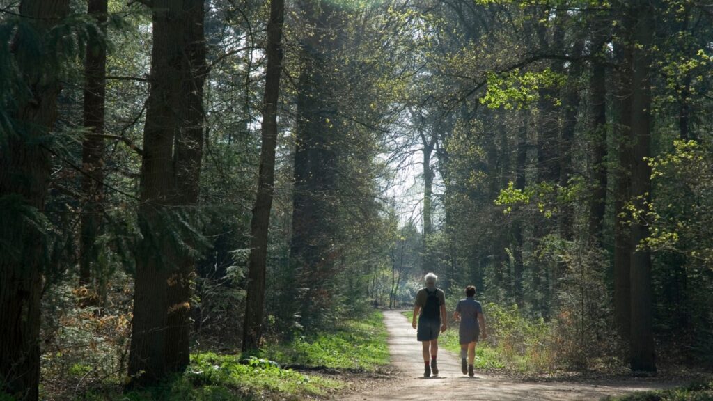 自然の中での散歩